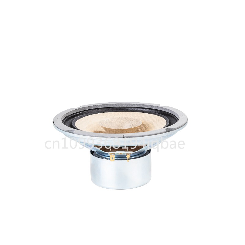 A pair Lii Song 8-inch 8 ohms  - Diy Speaker recension och pris