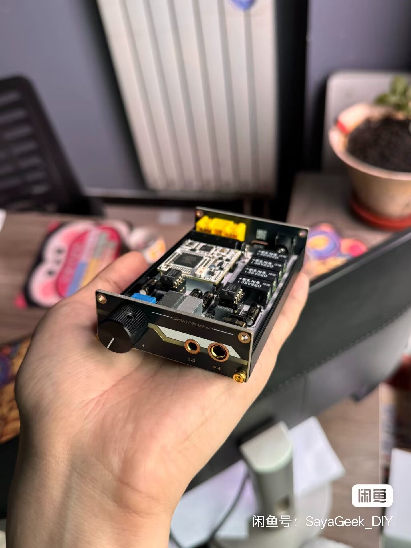 Portable R2R decoding headphon - Headphone Amplifier recension och pris