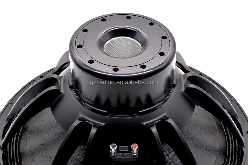 21'' Professional Audio System - Subwoofer recension och pris