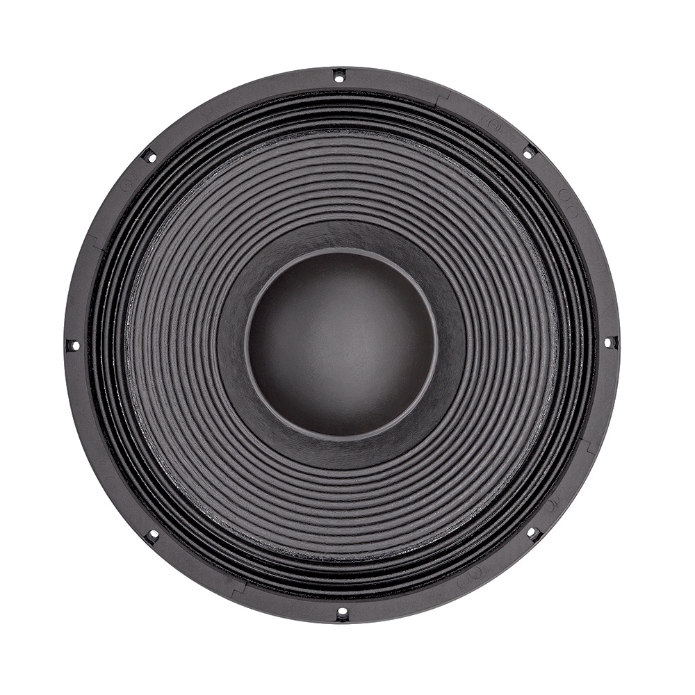 21'' Professional Audio System - Subwoofer recension och pris
