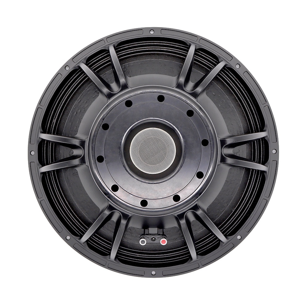 21'' Professional Audio System - Subwoofer recension och pris
